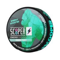 - Scooper Fresh Mint (12 Stk.)